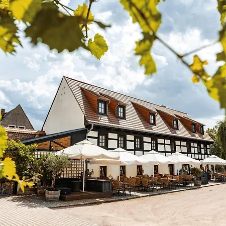 Guest house Weingut Schuh - Zur Bosel Coswig (Saxony)