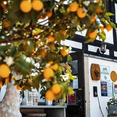 Weingut Schuh - Zur Bosel