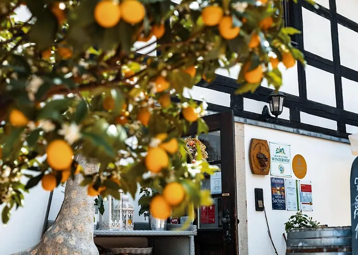 Weingut Schuh - Zur Bosel